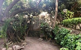 House With Garden Baia Dei Saraceni